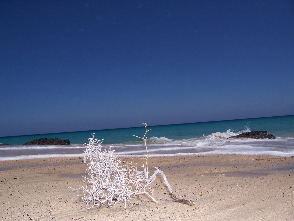 Fuerteventura Jandia