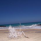 Fuerteventura Jandia