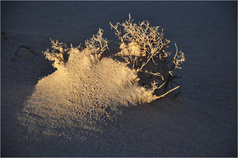 Fuerteventura, letzte Sonnenstrahlen in der Sandwüste 2