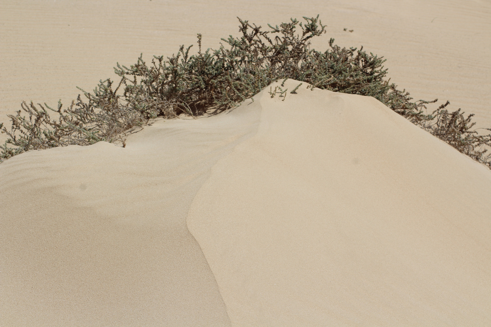 Fuerteventura Märchen aus Stein und Sand