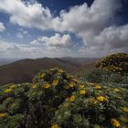 --- Fuerteventura - Morro Velosa ---