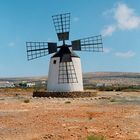Fuerteventura - Mühle