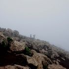 Fuerteventura - Nebel-Wanderung am Gipfel des Pico de la Zarza ...