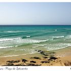 Fuerteventura - Playa de Sotavento