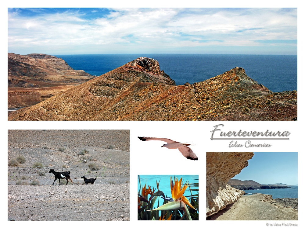 Fuerteventura Postal # 4