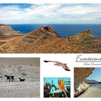 Fuerteventura Postal # 4