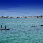 Fuerteventura Surfers