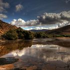 Fuerteventura también es verde