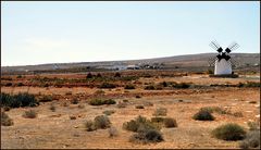 Fuerteventura und Wasser, ein ewiges Thema...