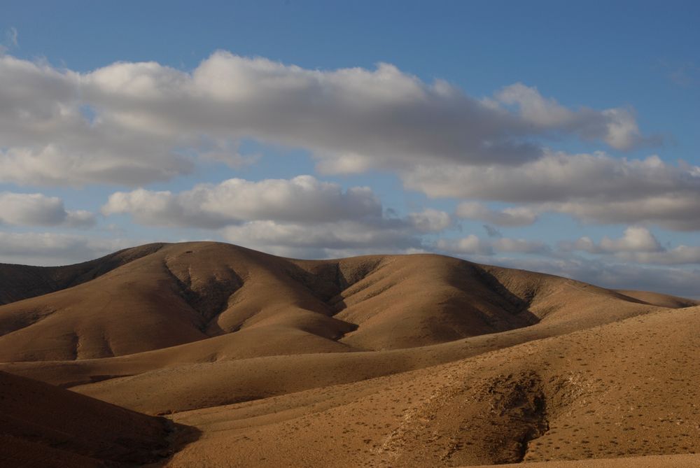 Fuerteventura V