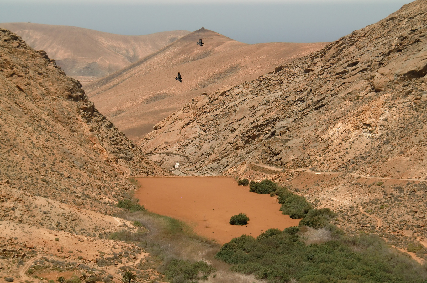 Fuerteventura- Vega de Rio Palmas