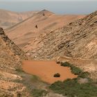 Fuerteventura- Vega de Rio Palmas