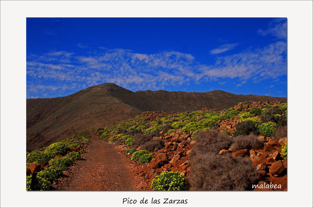 Fuerteventura verde