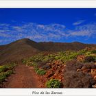 Fuerteventura verde