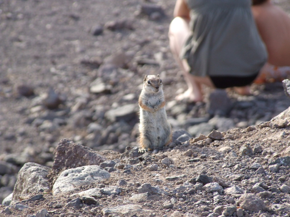 fuerteventura2008