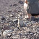 fuerteventura2008