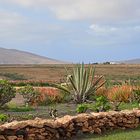 Fuerteventura_22