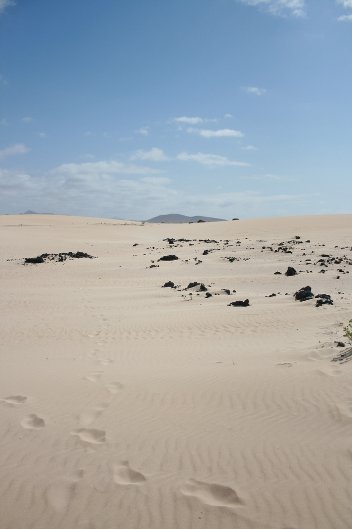 Fuerteventura...Die Insel...