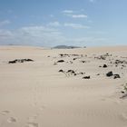 Fuerteventura...Die Insel...