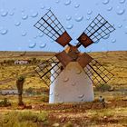 FUERTEVENTURA.........LA ISLA DONDE LLUEVE de Ciento en VIENTO. 