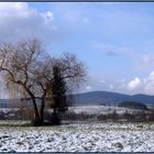 Fürth im Odenwald