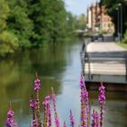 Fürth - Uferpromenade