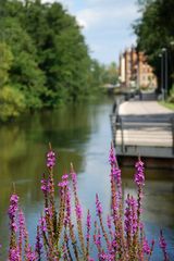 Fürth - Uferpromenade