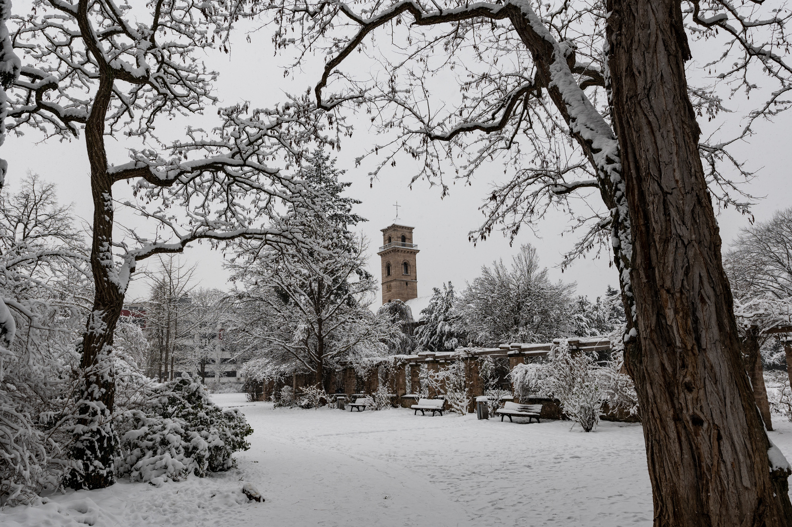 Fürther Stadtpark im Schnee