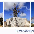 Fuertventuras Windmühlen