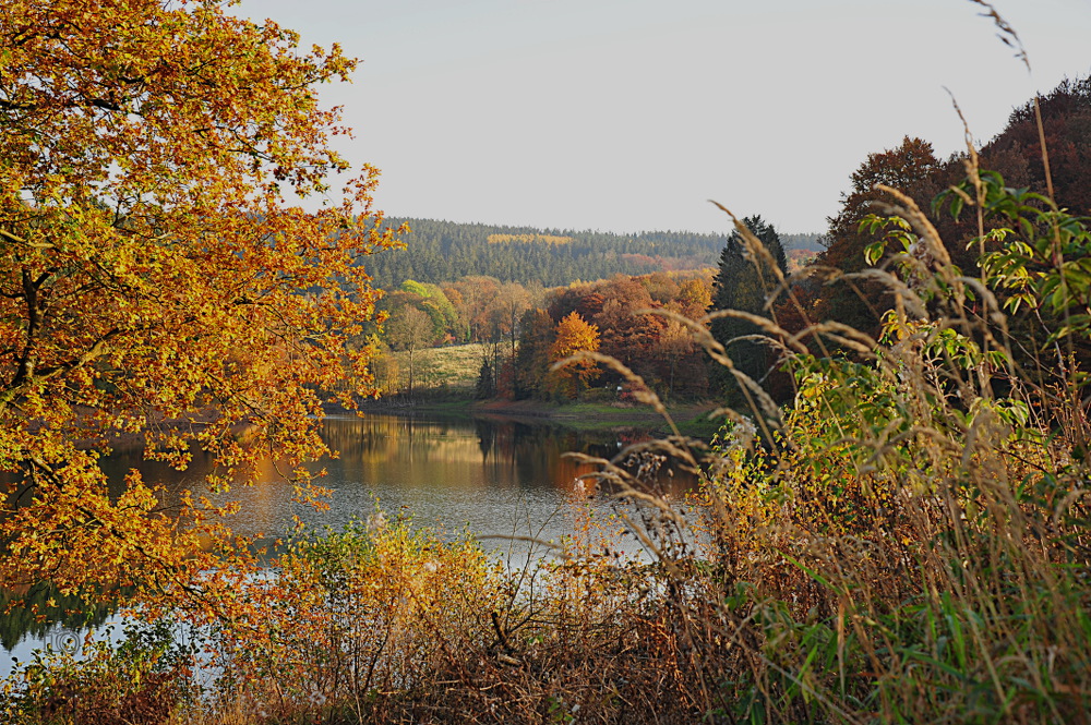 Fürwiggetalsperre 1