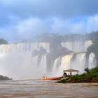 Fuerza naturaleza