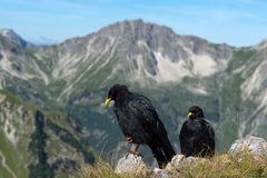 ~ Füsschen in die Höhe ~