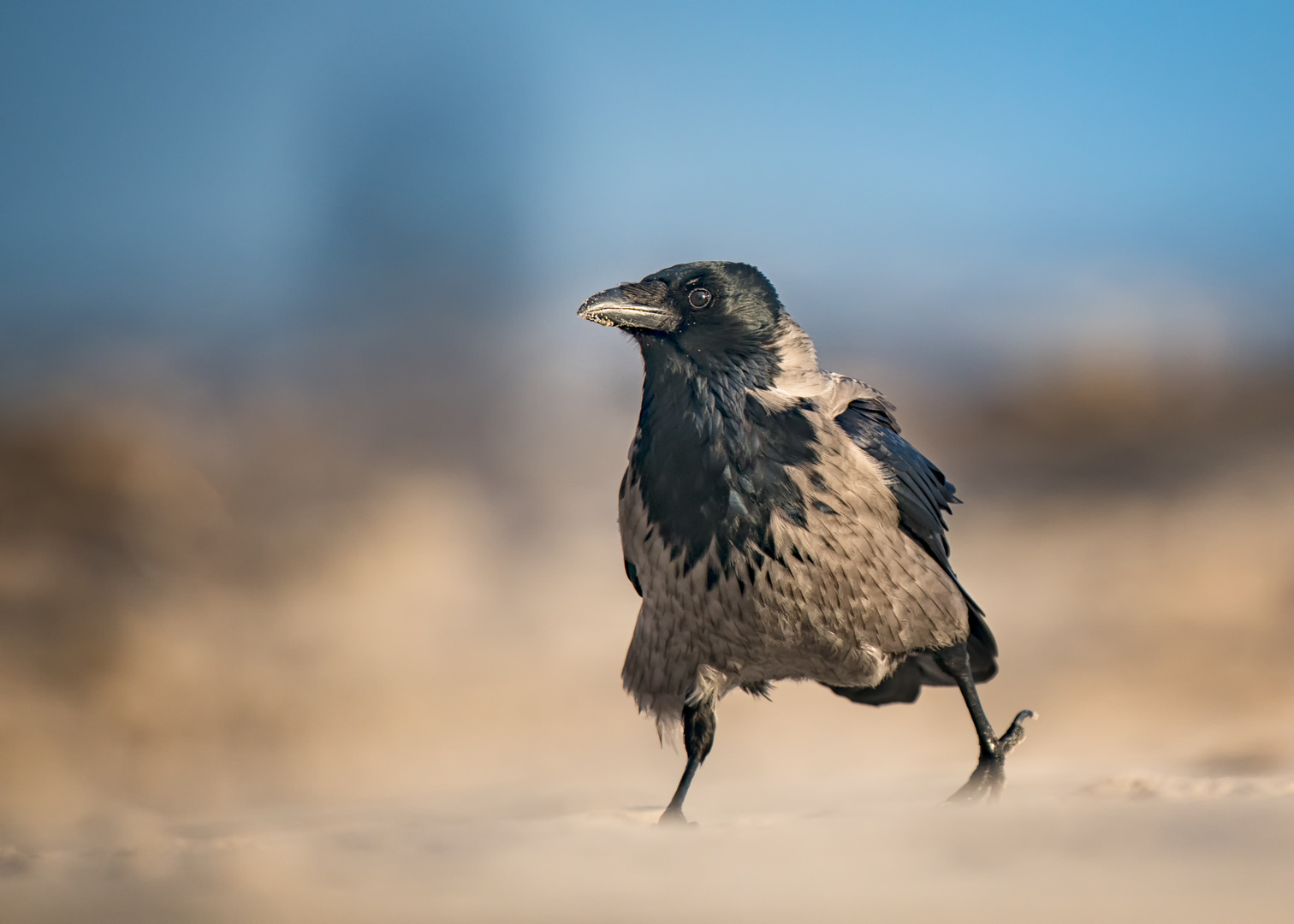 Füsse im Sand