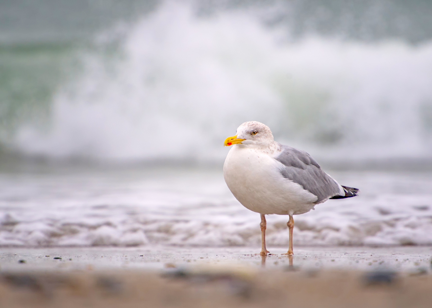 Füsse im Wasser