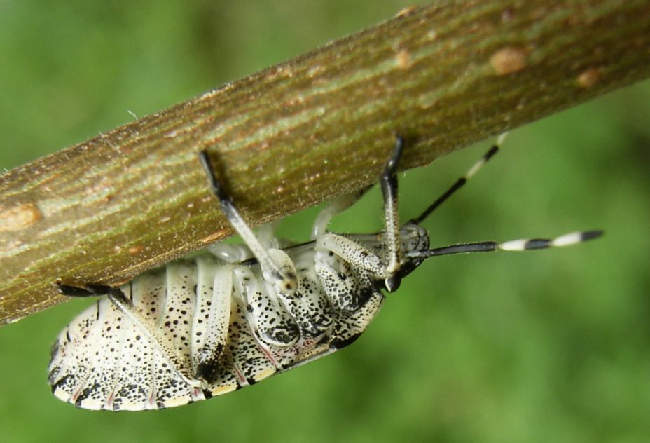 Füße nicht gewaschen?