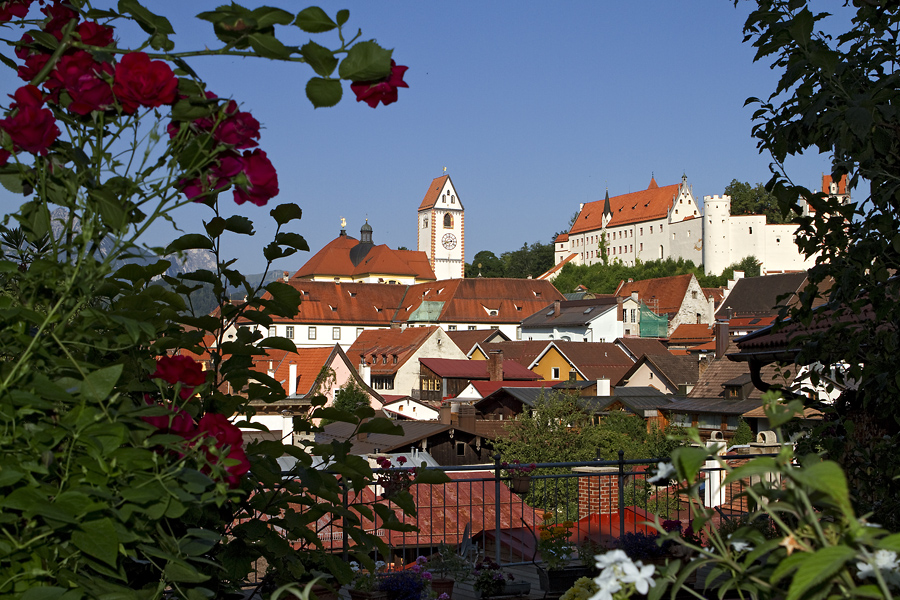 Füssen durch die Blume ...