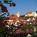 Füssen durch die Blume ...