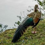 Füssen / Ostallgäu (06)