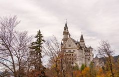 Füssen - Schloss Neuschwanstein - 12