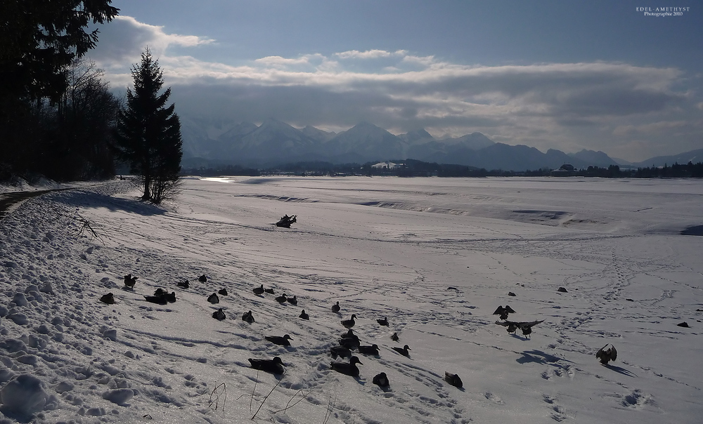 "Füssen Tour 24 Am Forggensee"