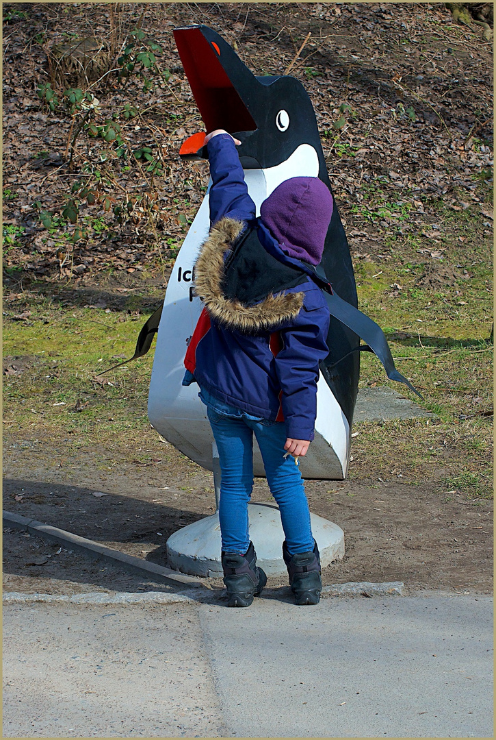 Füttere den Pinguin