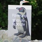 Fütterung 16:30