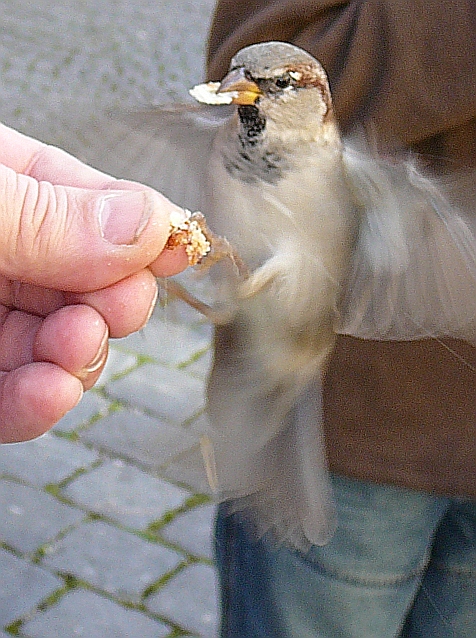 Fütterung