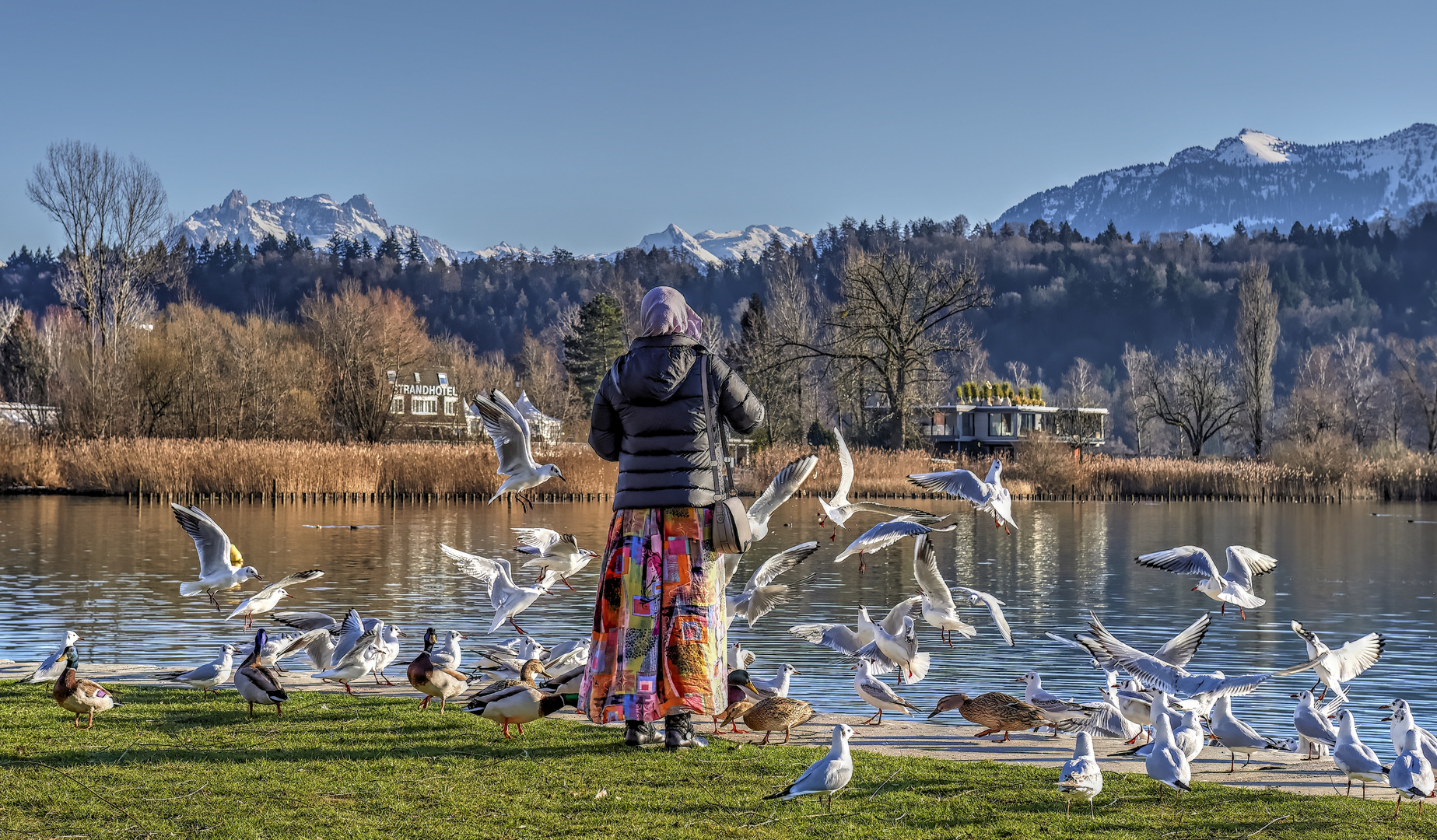 Fütterung am See