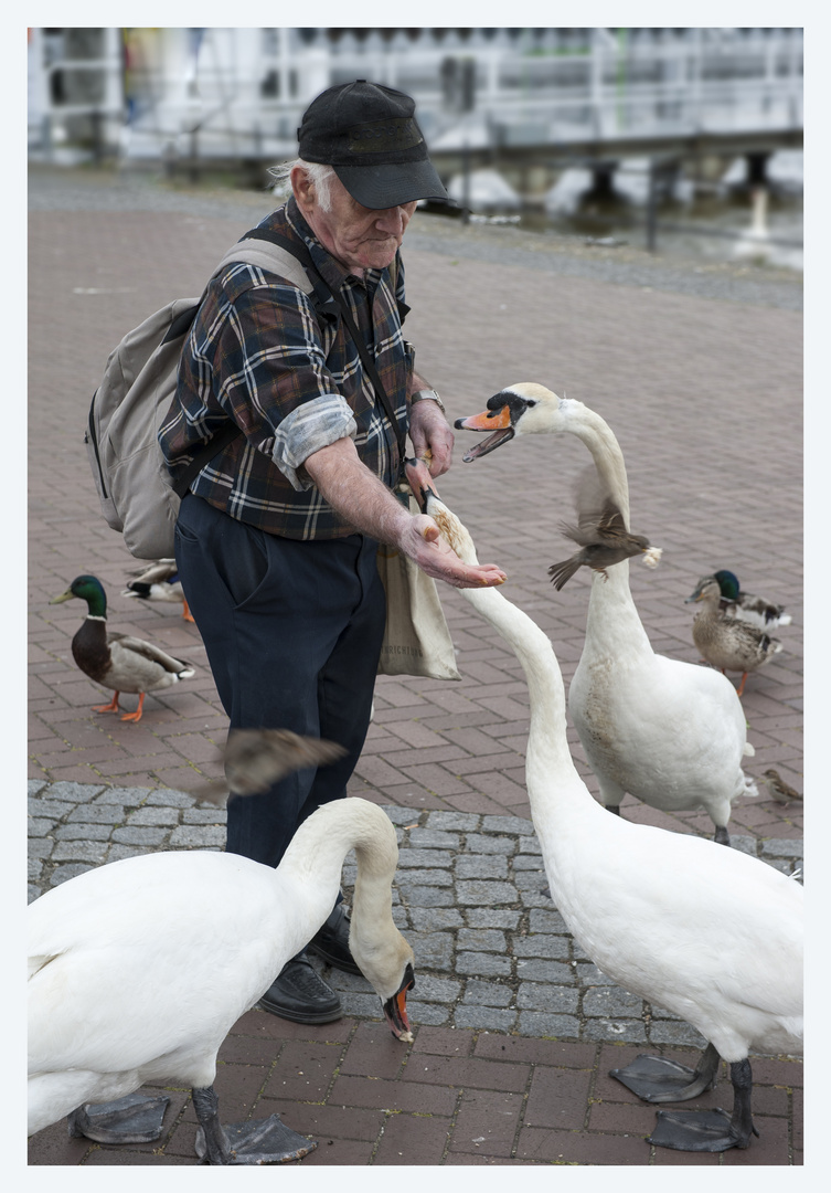 Fütterung der Raubtiere