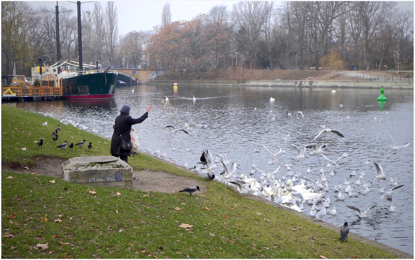 Fütterung der Vögel