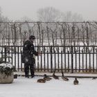 Fütterung im Schnee