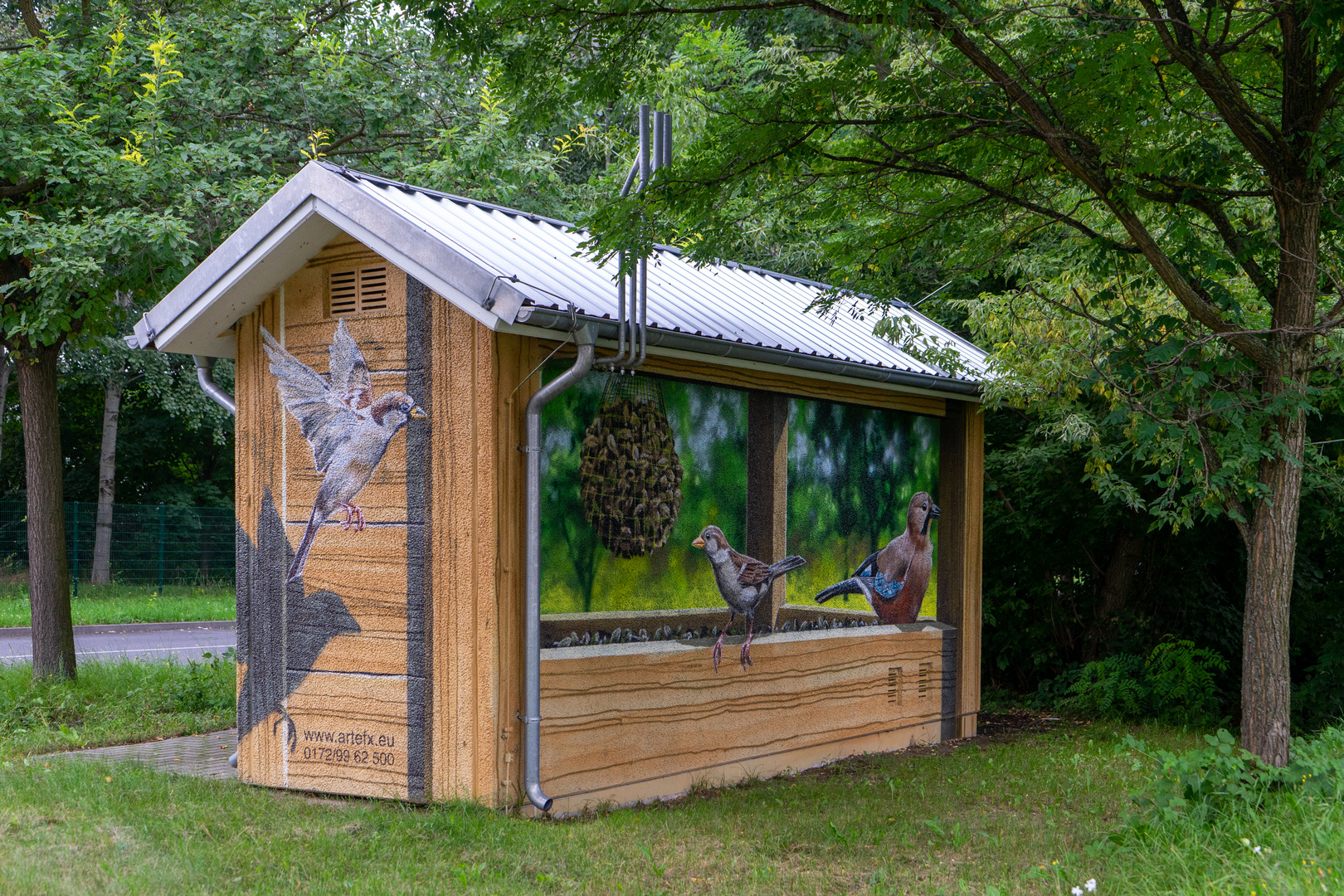 Fütterung im Vogelhaus Vorderseite