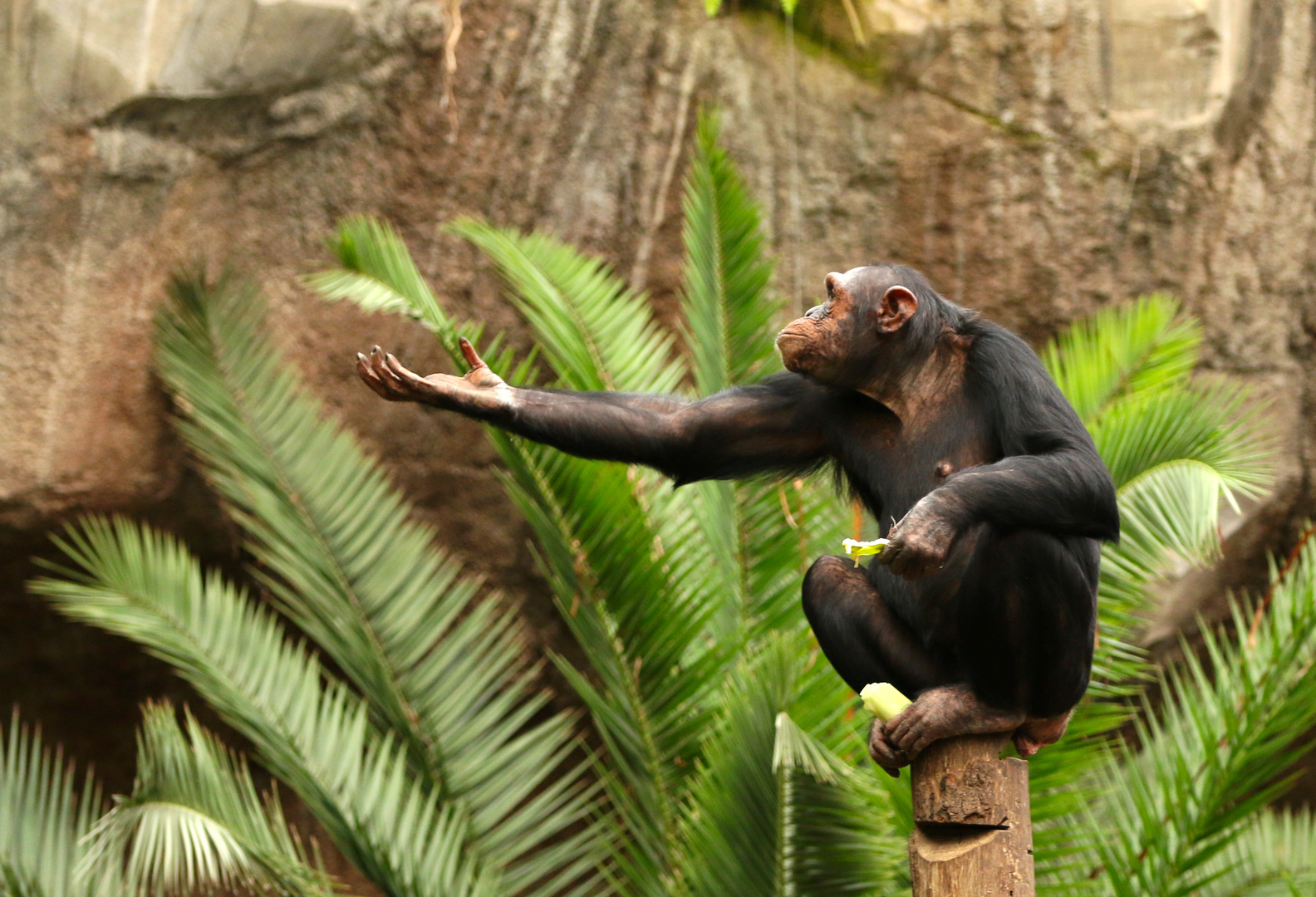 Fütterung im ZOO Leipzig