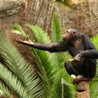 Fütterung im ZOO Leipzig